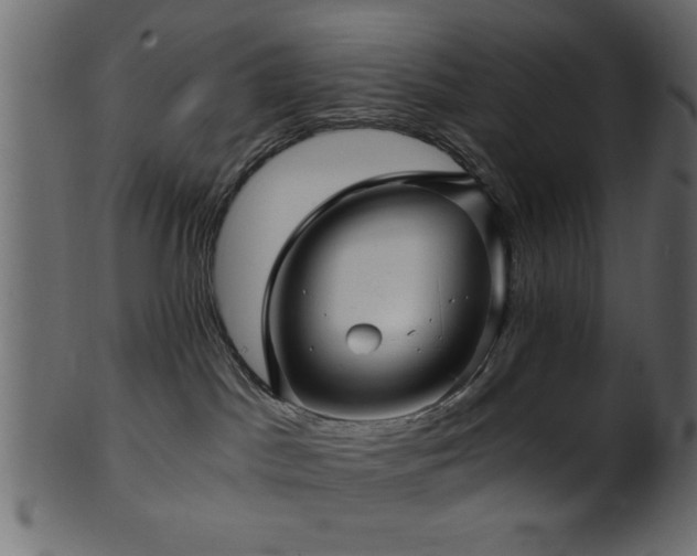 X0000101950045200807181500