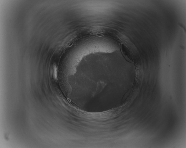 X0000101950046200807181500