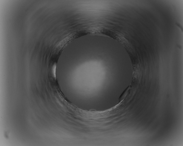 X0000101950047200807181500