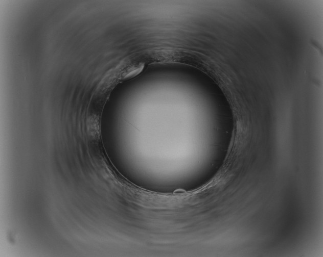 X0000101950048200807181500