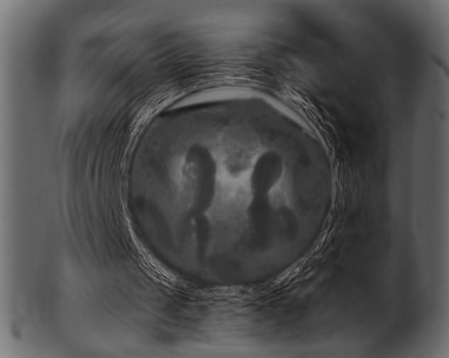 X0000101950049200807181459