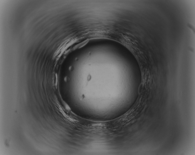 X0000101950050200807181459