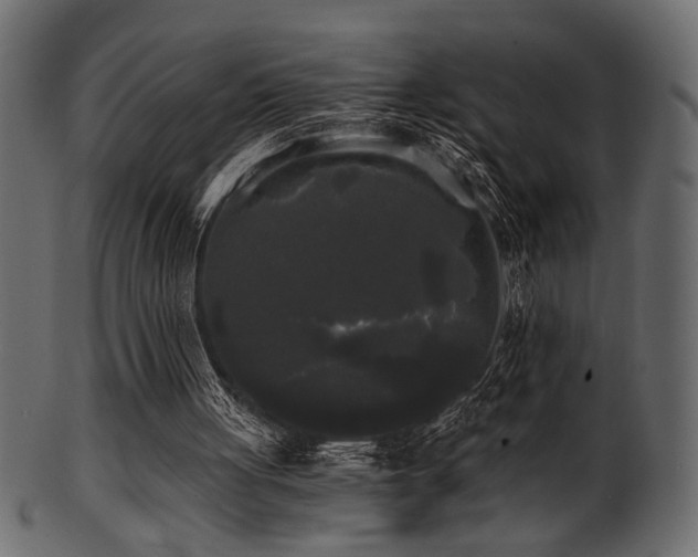 X0000101950051200807181459