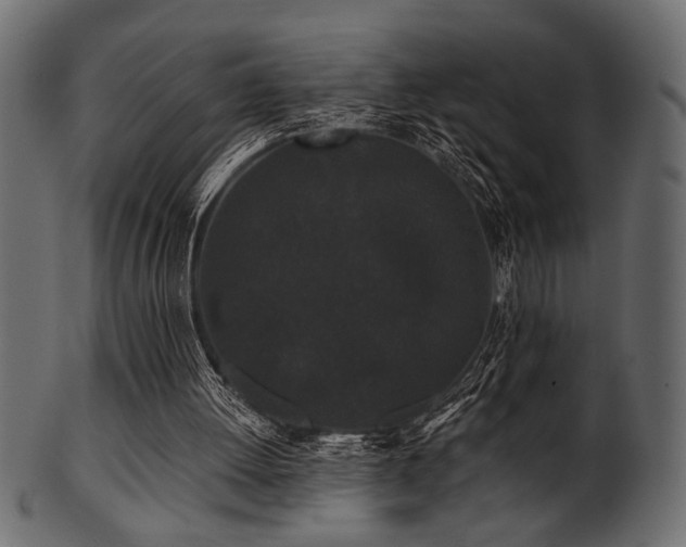 X0000101950052200807181459