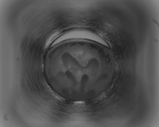 X0000101950053200807181459