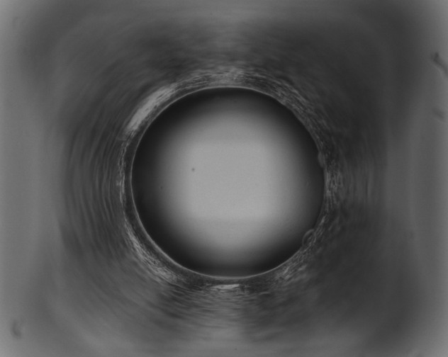 X0000101950054200807181459