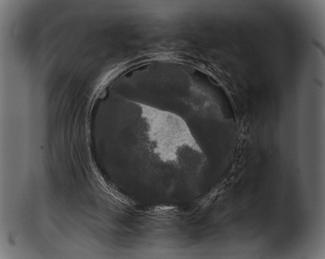 X0000101950055200807181459