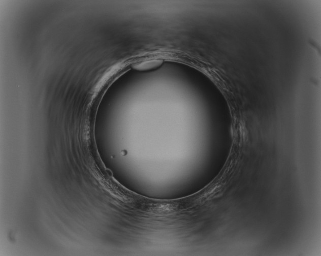 X0000101950056200807181459