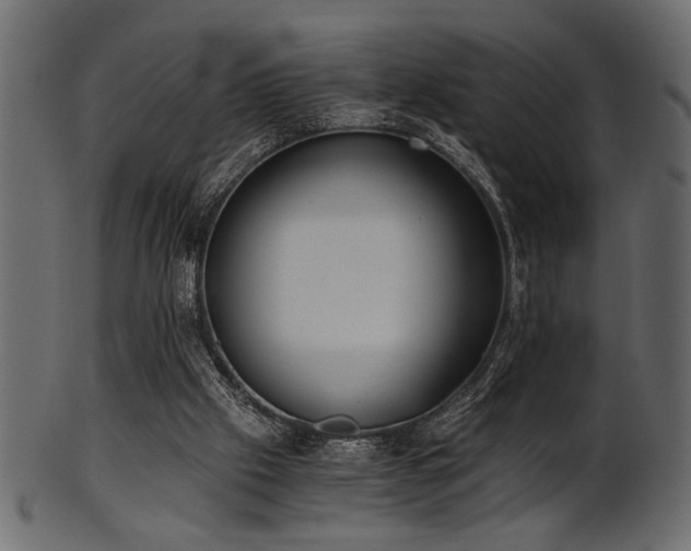 X0000101950057200807181459