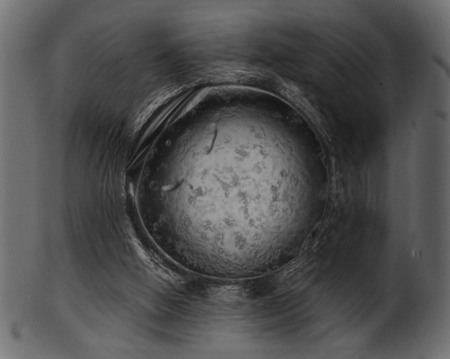 X0000101950058200807181459