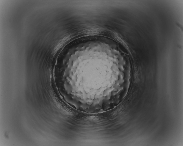 X0000101950059200807181459