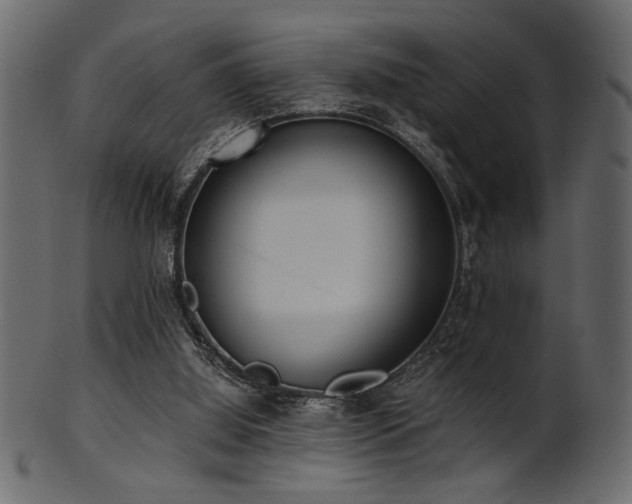 X0000101950060200807181459