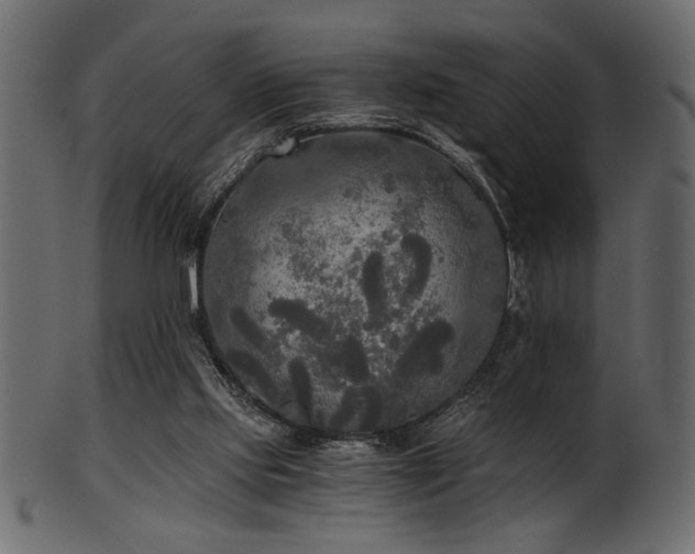 X0000101950061200807181459