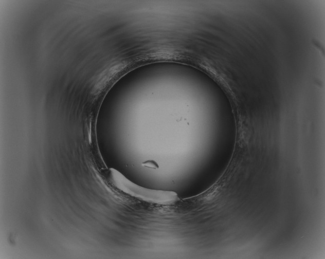 X0000101950062200807181459