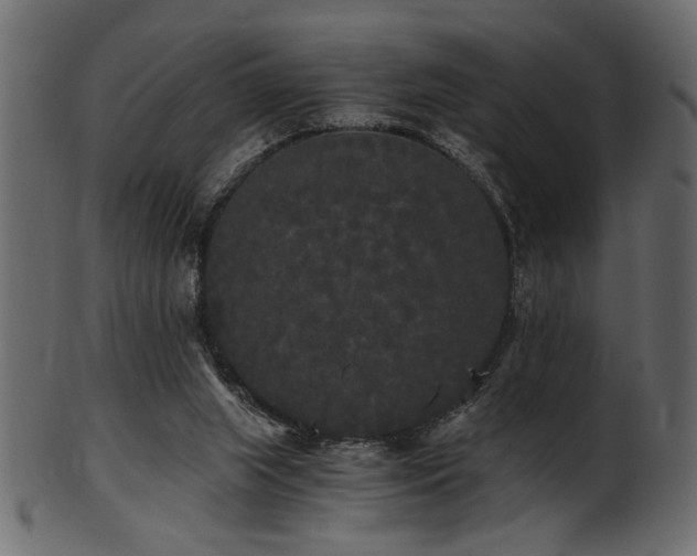 X0000101950063200807181459