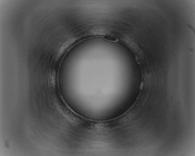 X0000101950064200807181459