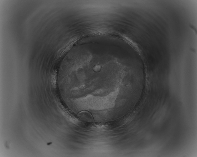 X0000101950065200807181459