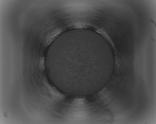 X0000101950066200807181459