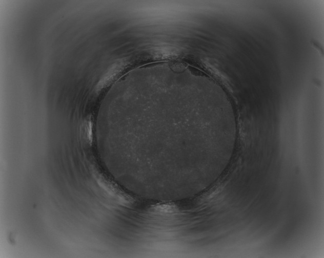 X0000101950067200807181459