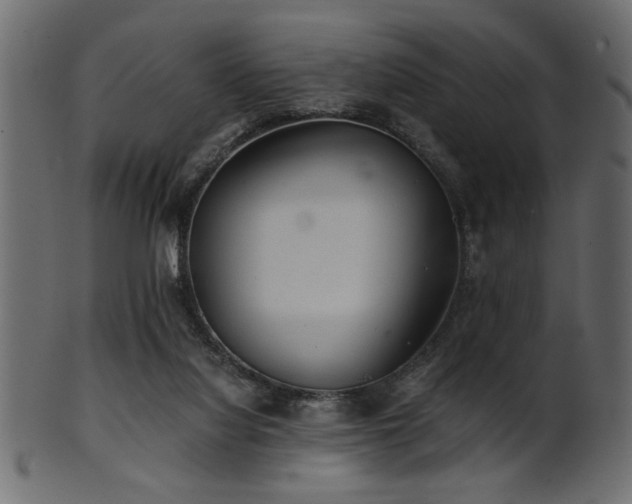 X0000101950068200807181459