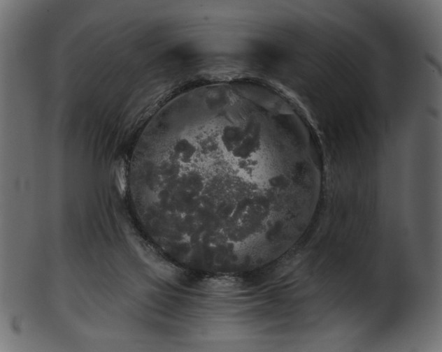 X0000101950069200807181459