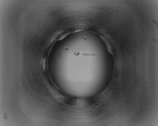 X0000101950070200807181459