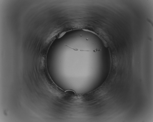 X0000101950071200807181459