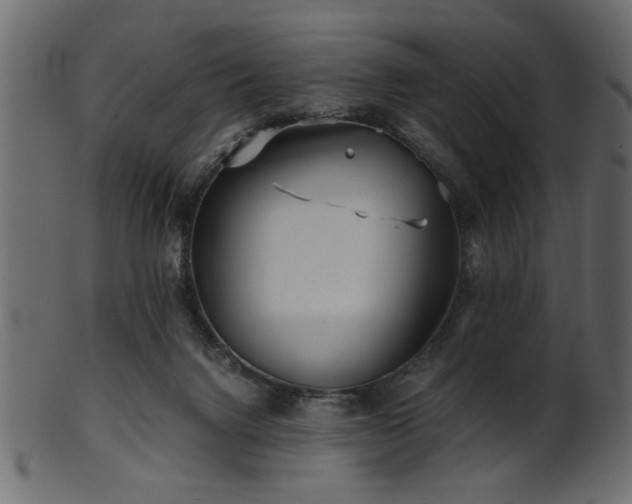 X0000101950072200807181459