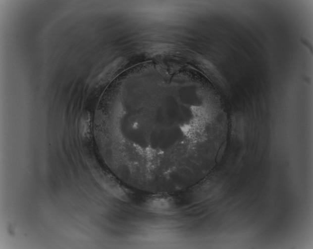 X0000101950073200807181459