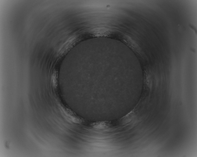 X0000101950074200807181459