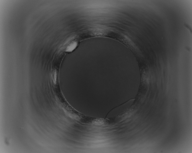 X0000101950076200807181459