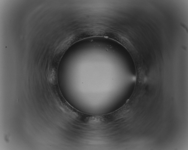 X0000101950077200807181459