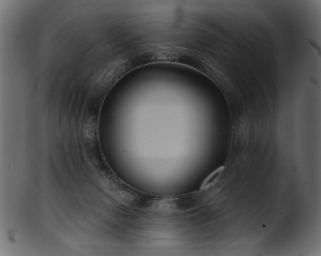 X0000101950078200807181459