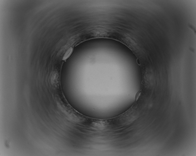 X0000101950079200807181459