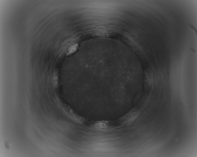 X0000101950080200807181459