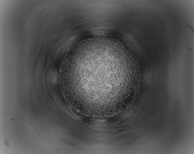 X0000101950081200807181500