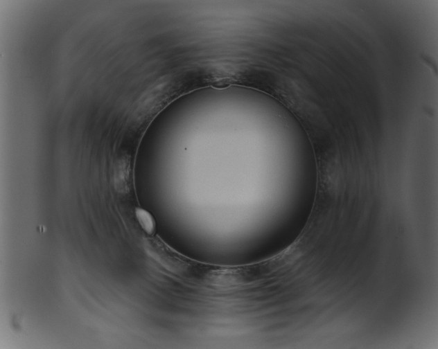 X0000101950082200807181500