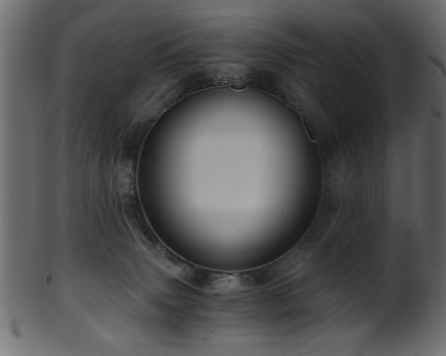 X0000101950083200807181500