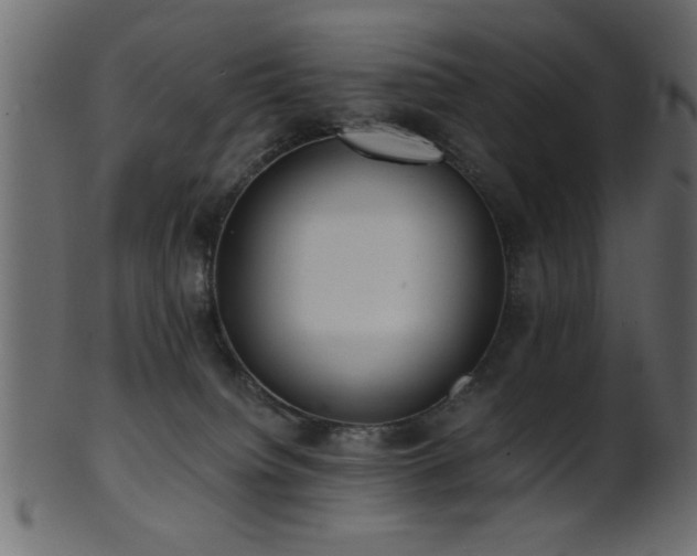 X0000101950084200807181500