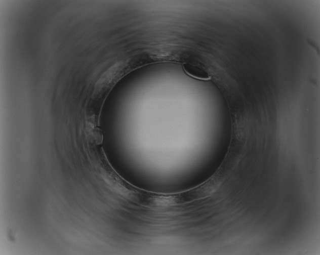 X0000101950085200807181500