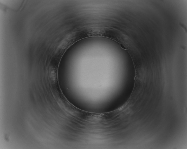 X0000101950086200807181500