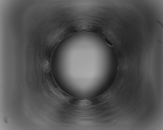 X0000101950087200807181500