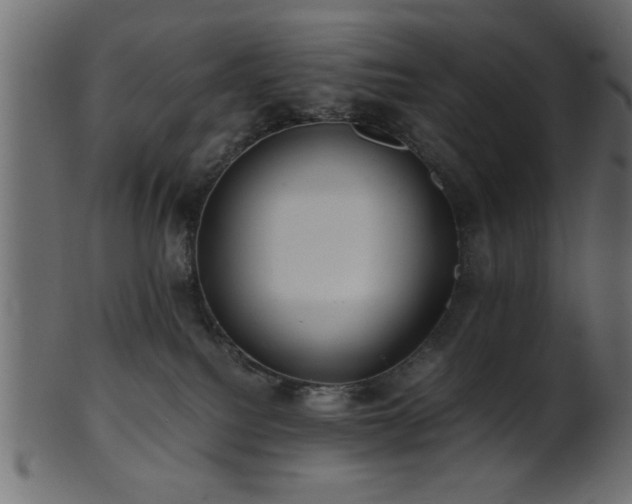 X0000101950088200807181500