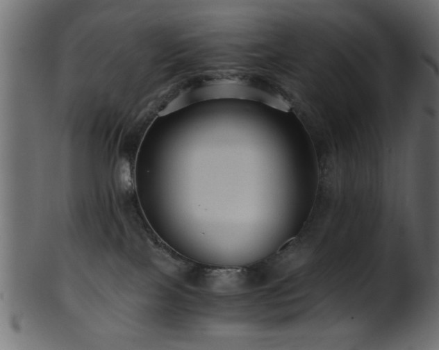 X0000101950089200807181500