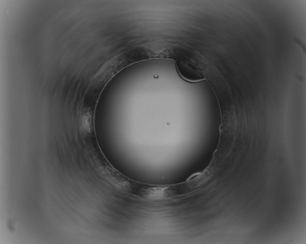 X0000101950090200807181500