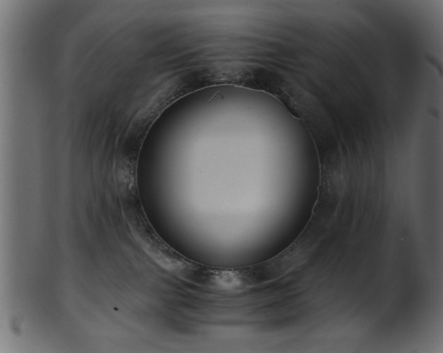 X0000101950091200807181500