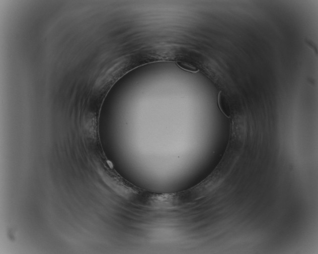 X0000101950092200807181500