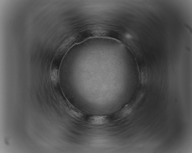 X0000101950093200807181500