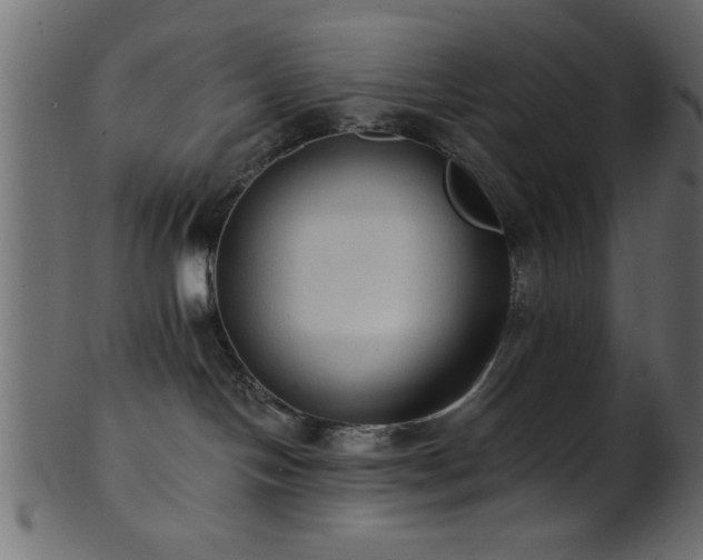 X0000101950094200807181500