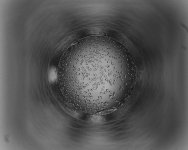 X0000101950095200807181500